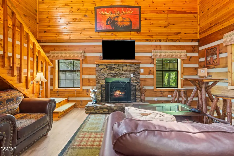 742 Nighthawk Way, Pigeon Forge, TN 37863 - #2