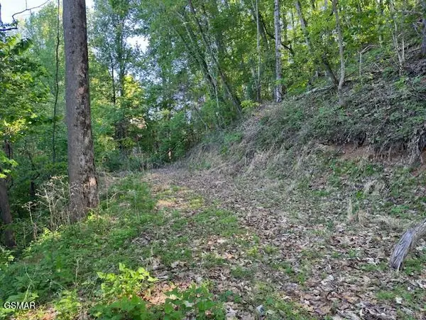 Lot 13 Dove View Road, Sevierville, TN 37862