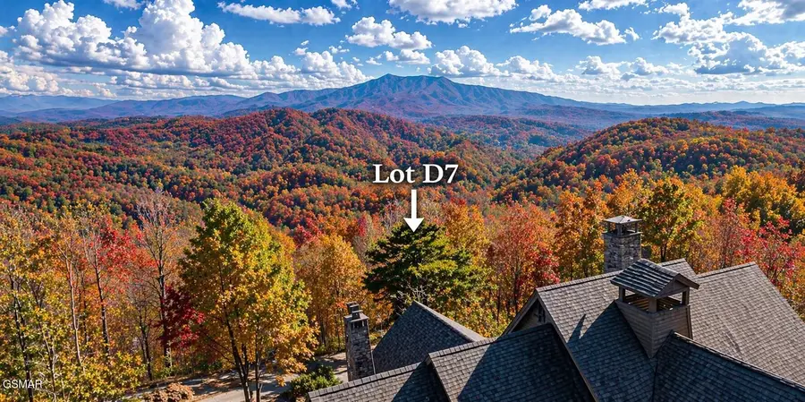 D7 Lightning Bug Way, Gatlinburg, TN 37738 - #2