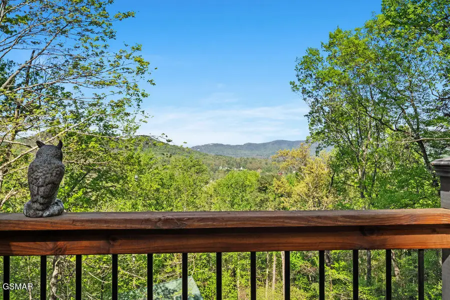 4163 Burning Tree Lane, Sevierville, TN 37862 - #3