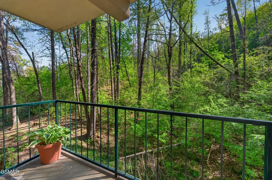 413 Baskins Creek Road #501, Gatlinburg, TN 37738 - #2