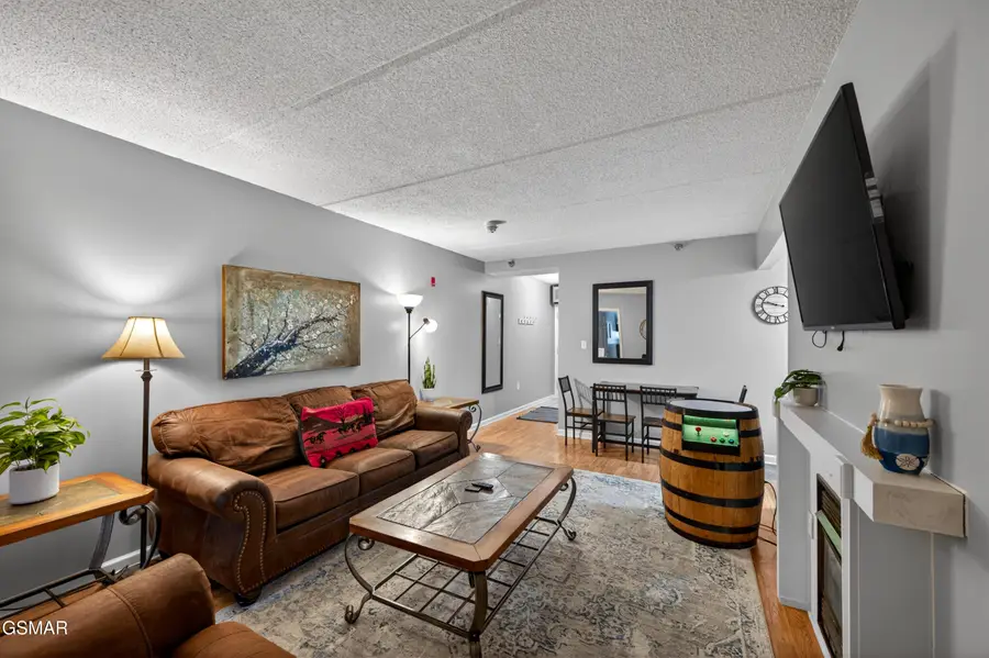 413 Baskins Creek Road #501, Gatlinburg, TN 37738 - #3