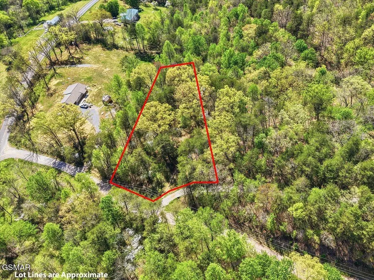 0 Dark Hollow Road, Cosby, TN 37722 - #1