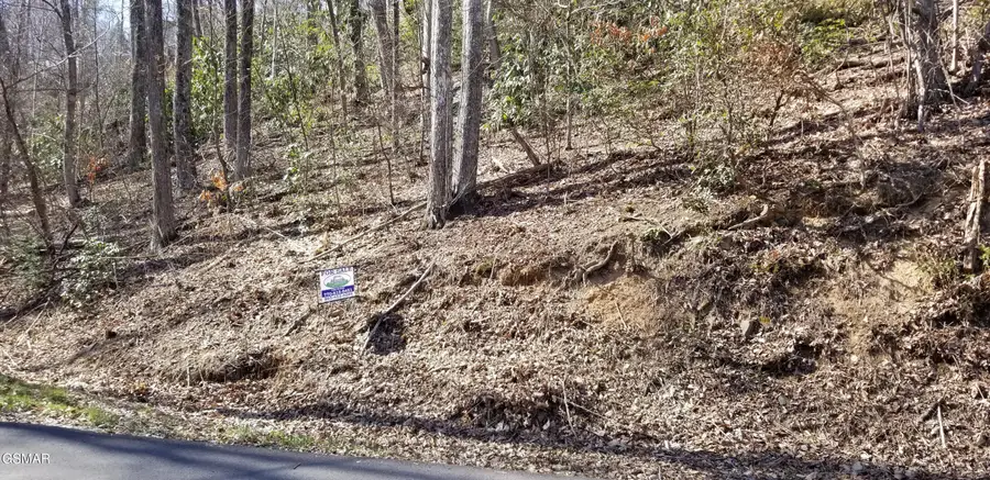 38 Luzerne, Gatlinburg, TN 37738 - #3