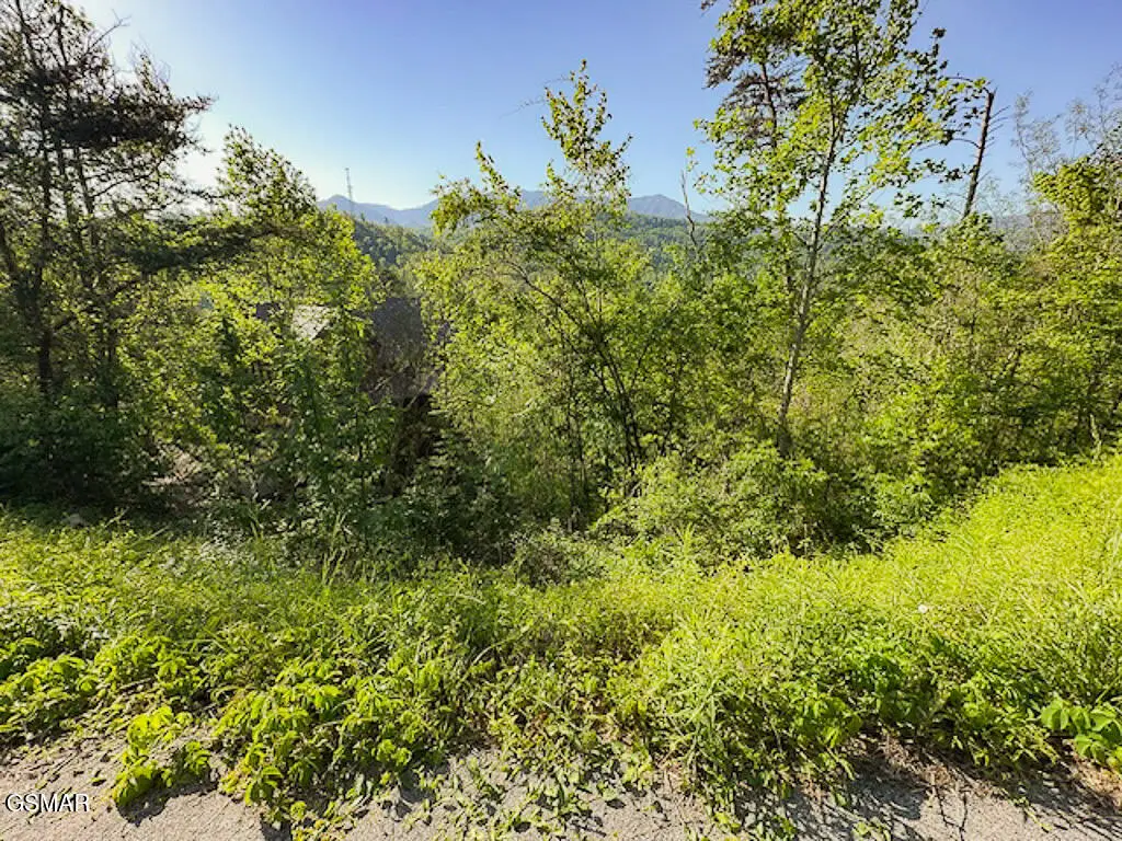 Lot 11 W Pinnacle Drive, Gatlinburg, TN 37738 - #1