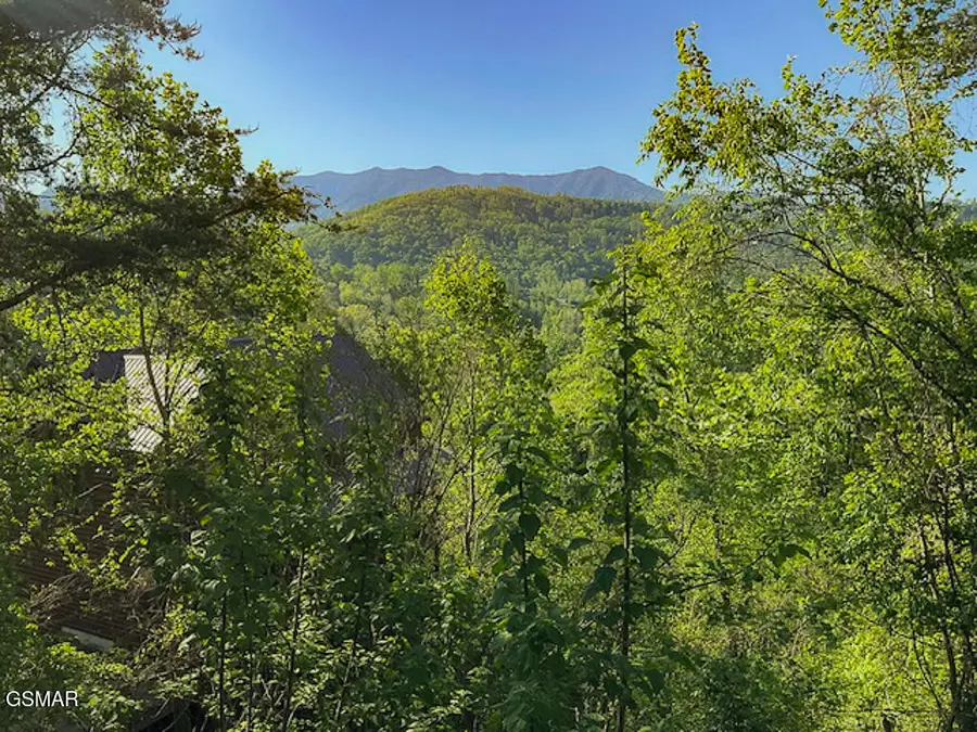 Lot 11 W Pinnacle Drive, Gatlinburg, TN 37738 - #3