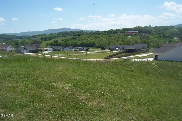 Lot 12 Grandeur Avenue, Parrottsville, TN 37843