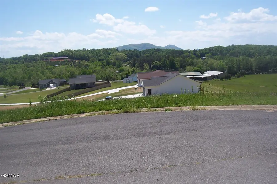 Lot 12 Grandeur Avenue, Parrottsville, TN 37843 - #2