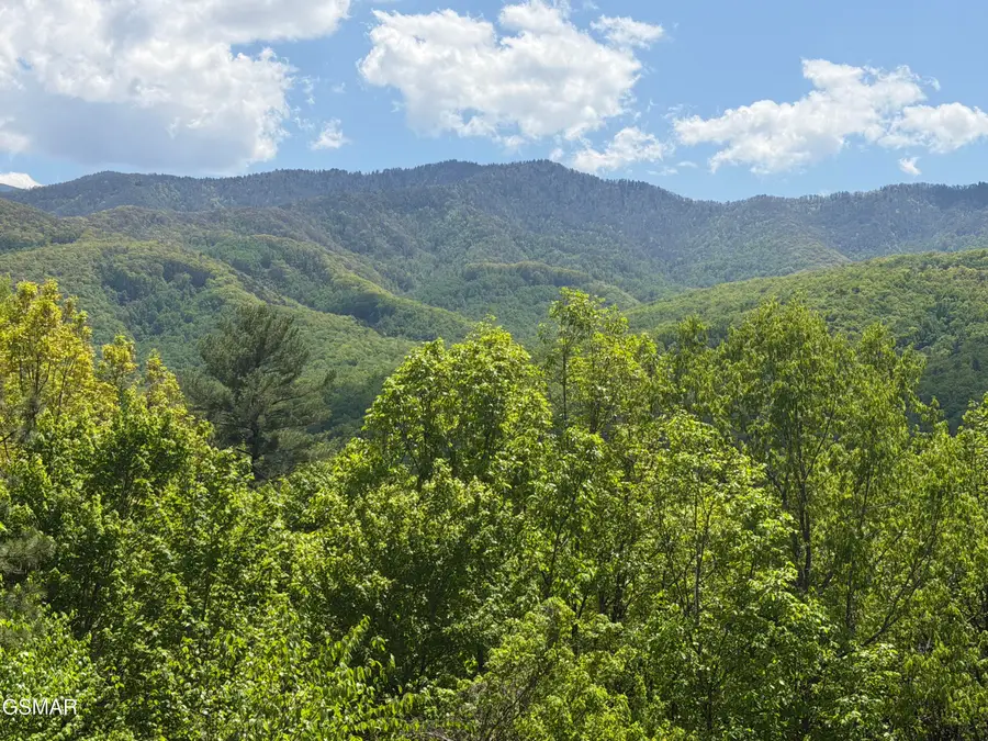 439 Ridgeline Way, Gatlinburg, TN 37738 - #3