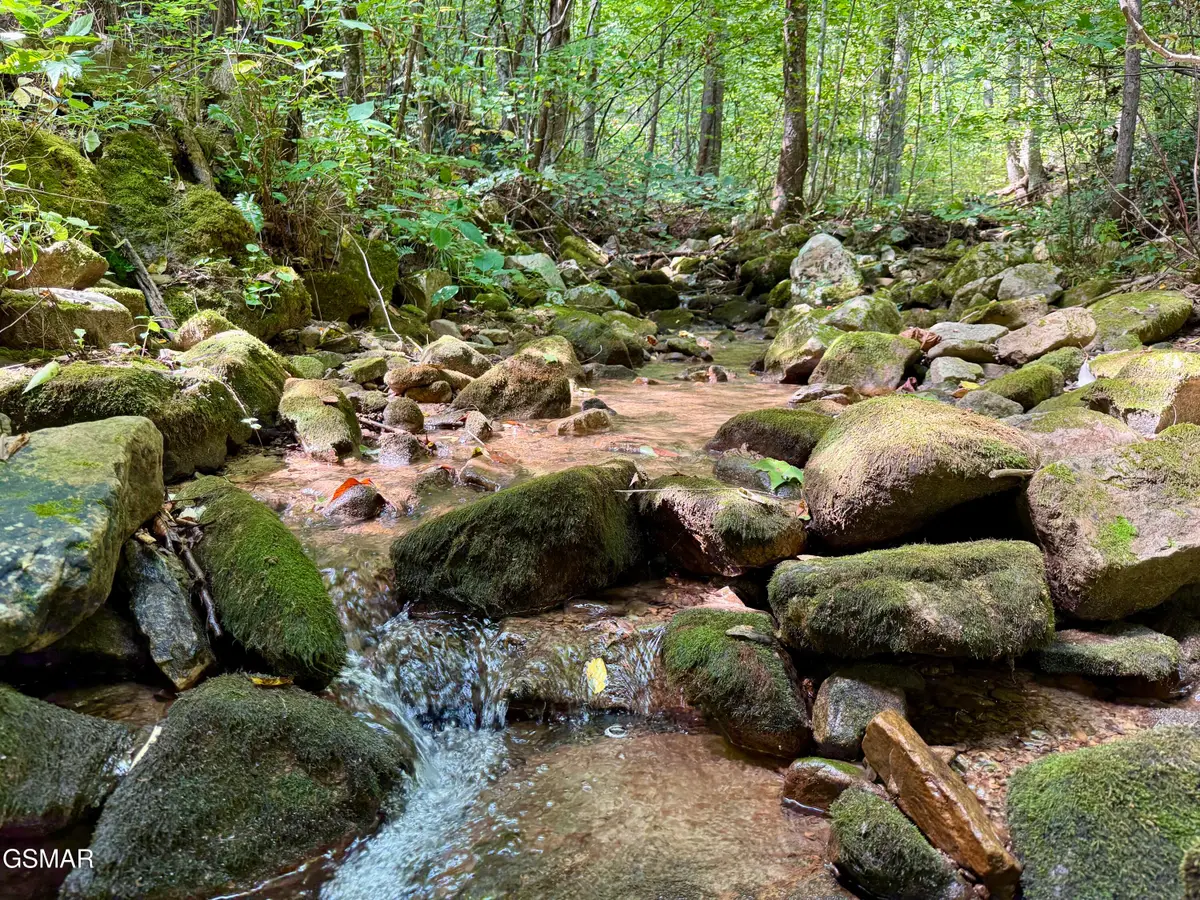 Lot 154 Summit Trails Drive, Sevierville, TN 37862 - #1