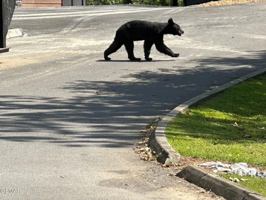 1824 Pinestand Ridge Way, Sevierville, TN 37862 - #2