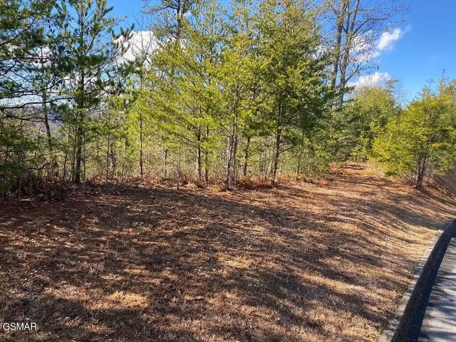 1824 Pinestand Ridge Way, Sevierville, TN 37862 - #3