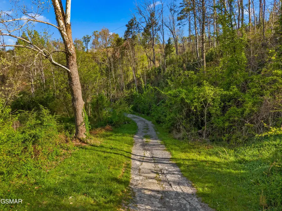 264 Beech Branch Road, Gatlinburg, TN 37738 - #2