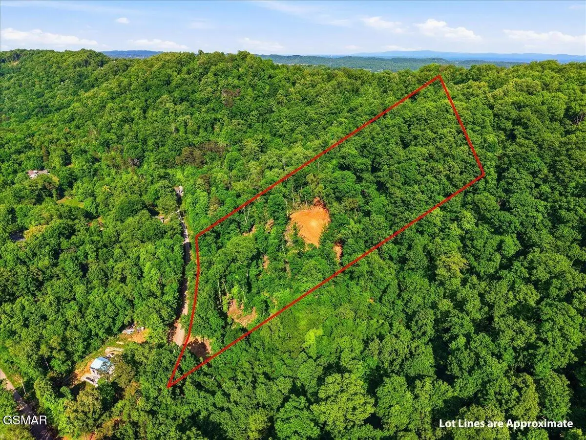 721 Cecil Lockhart Road, New Market, TN 37820 - #1