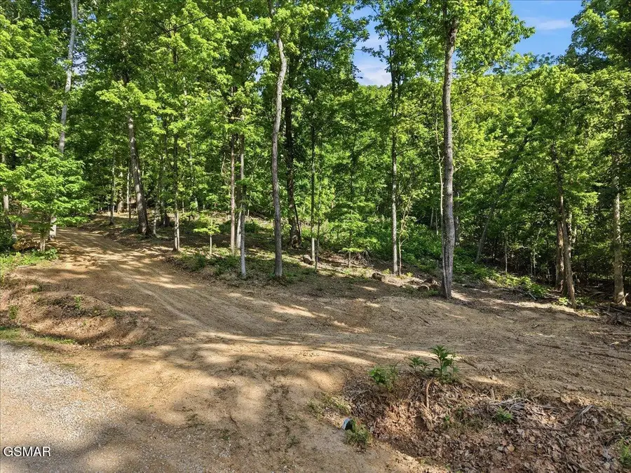 721 Cecil Lockhart Road, New Market, TN 37820 - #2