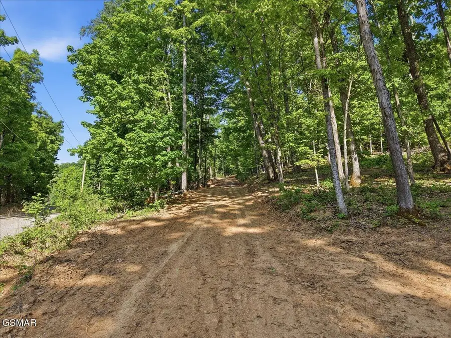 721 Cecil Lockhart Road, New Market, TN 37820 - #3