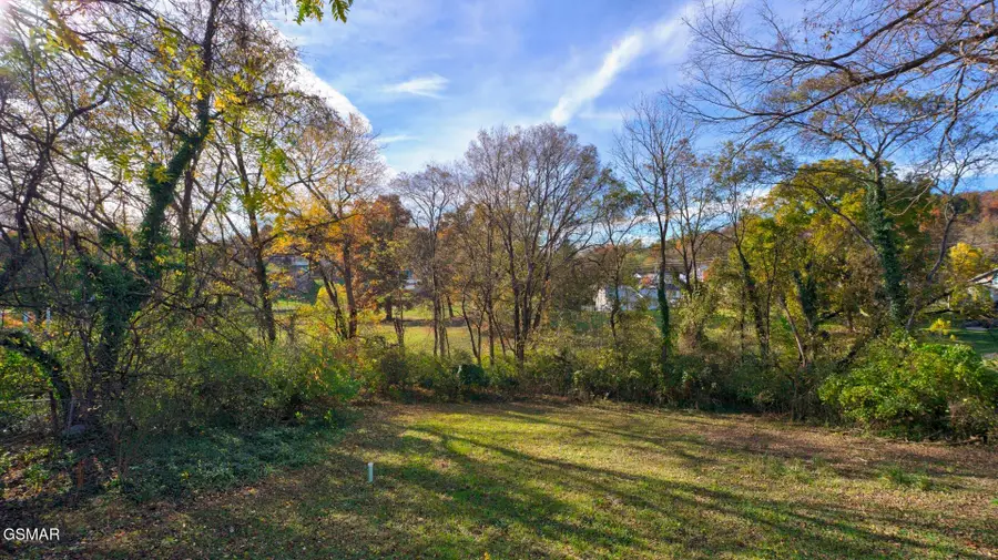 135 Blazer Street, Newport, TN 37821 - #3