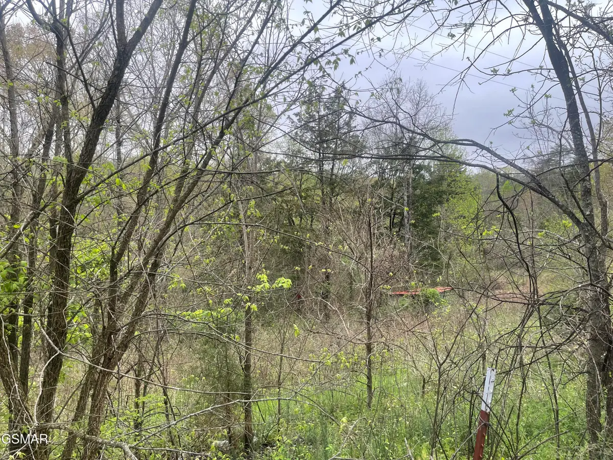 952 Stokes Valley Way, Parrottsville, TN 37843 - #1