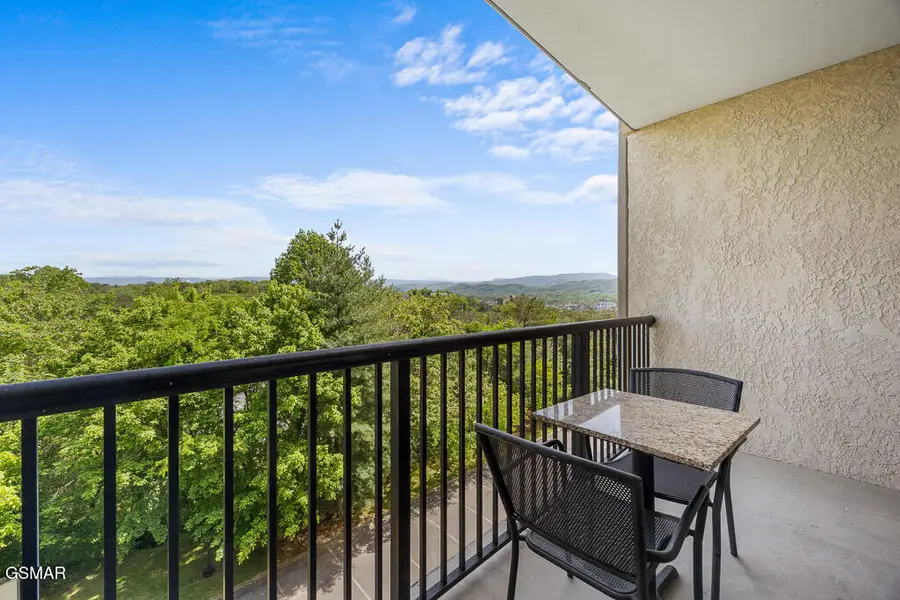 124 Plaza Drive #UNIT 2505, Pigeon Forge, TN 37863 - #2