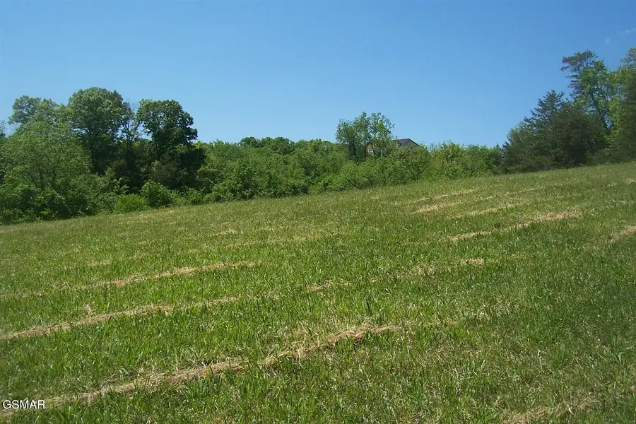 Lot 31 Splendor Way, Parrottsville, TN 37843 - #3