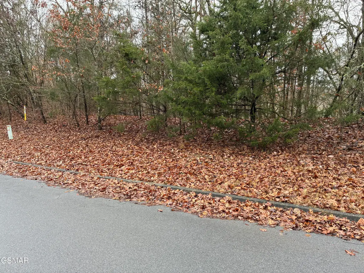 0 Longspur Trl Trail, Sevierville, TN 37876 - #1