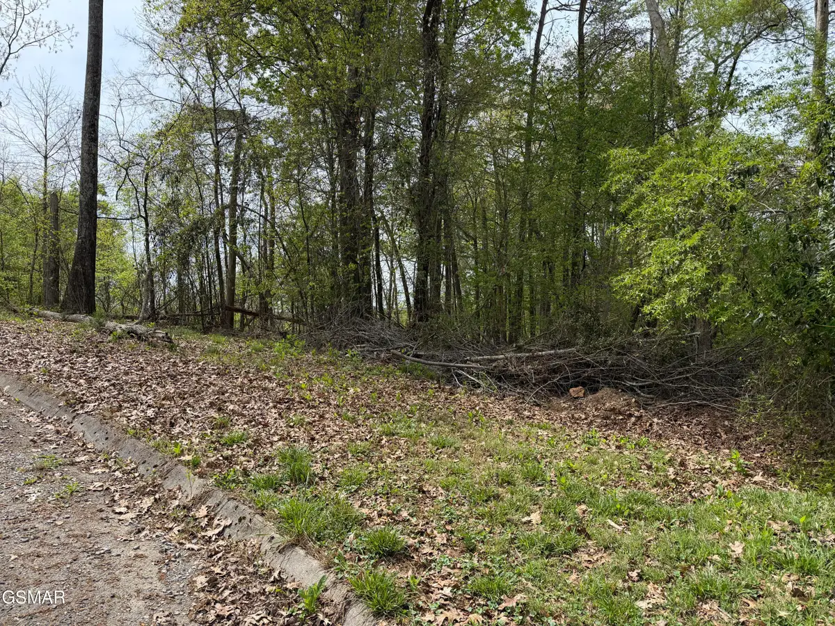 Lot 6 John Spears Way, Sevierville, TN 37876 - #1