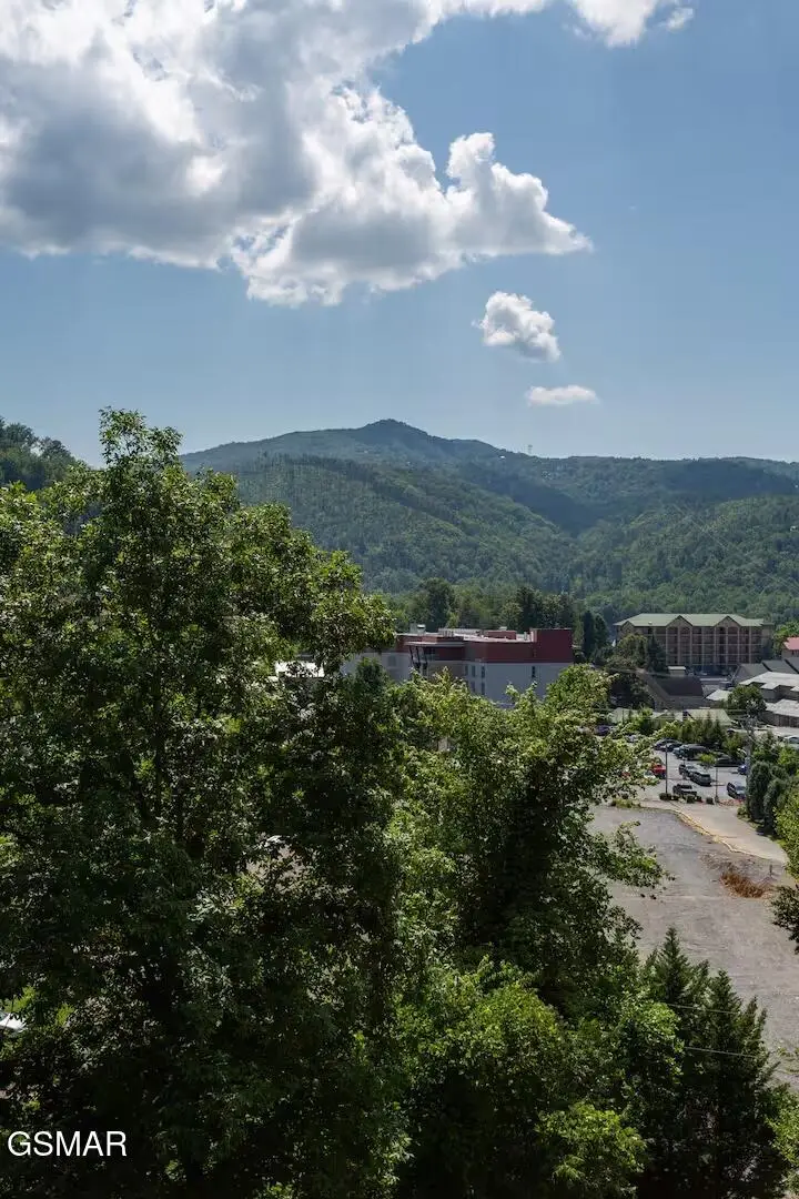 354 E Holly Ridge Road #UNIT 409, Gatlinburg, TN 37738 - #2