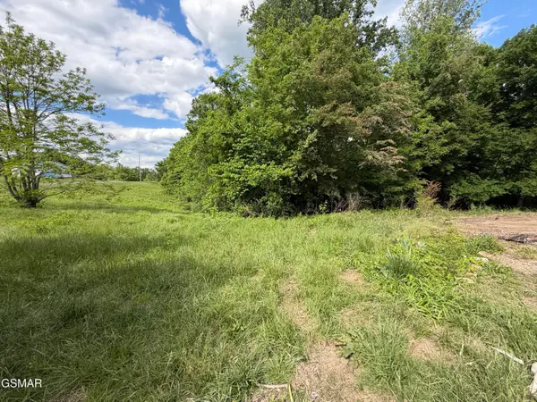 316 Wiley Town Road, Newport, TN 37821