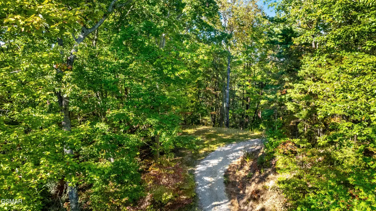 0 Deer Ridge Lane, Sevierville, TN 37876 - #1