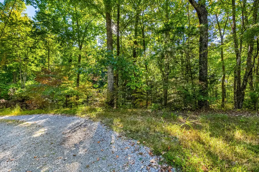 0 Deer Ridge Lane, Sevierville, TN 37876 - #2