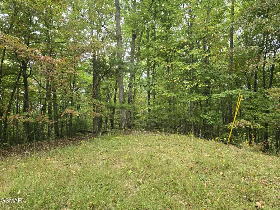 0 Deer Ridge Lane, Sevierville, TN 37876 - #3
