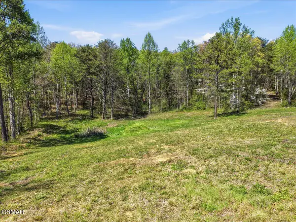 2535 Dark Hollow Road, Cosby, TN 37722