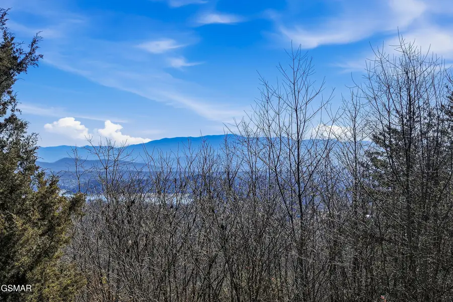 2821 Burnett Drive, Kodak, TN 37764 - #3