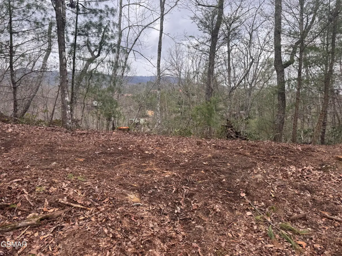 2821 Cedar Falls Way, Sevierville, TN 37862 - #1