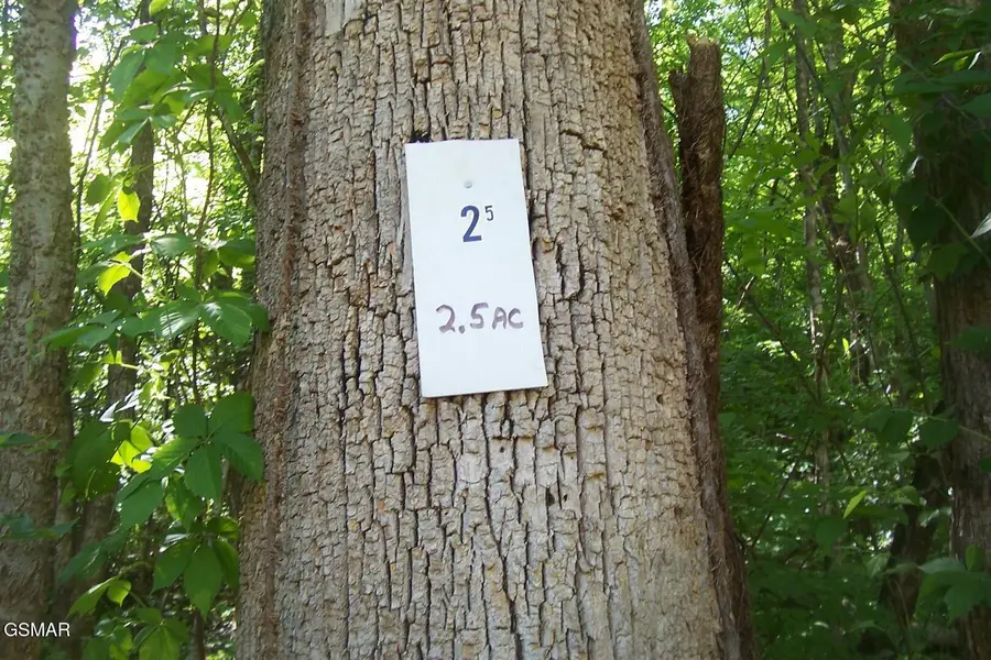 Lot 25 Splendor Way, Parrottsville, TN 37843 - #3