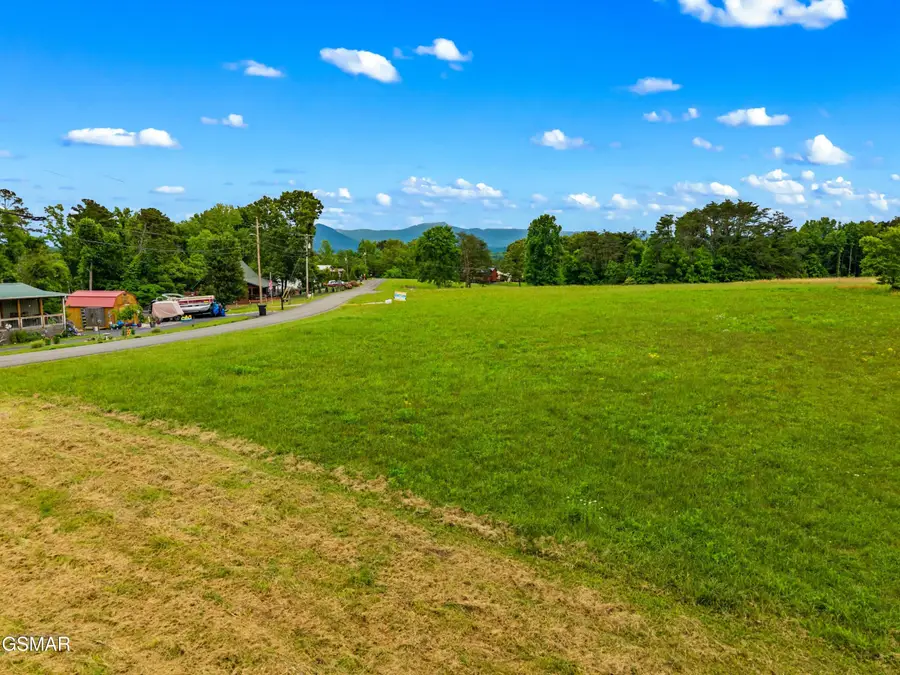 0.55 Covington Road, Dandridge, TN 37725 - #3