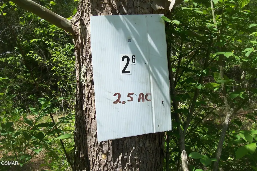 Lot 26 Splendor Way, Parrottsville, TN 37843 - #3