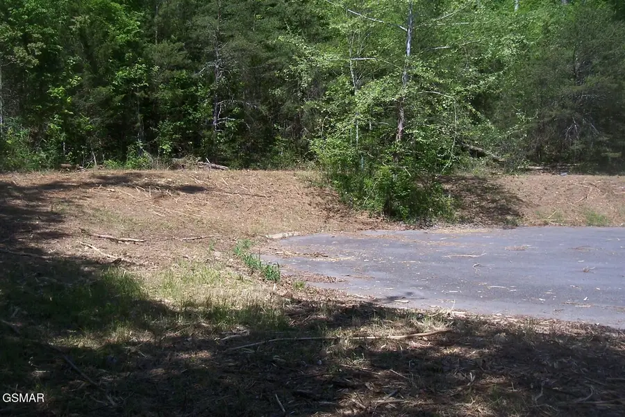 Lot 27 Splendor Way, Parrottsville, TN 37843 - #2