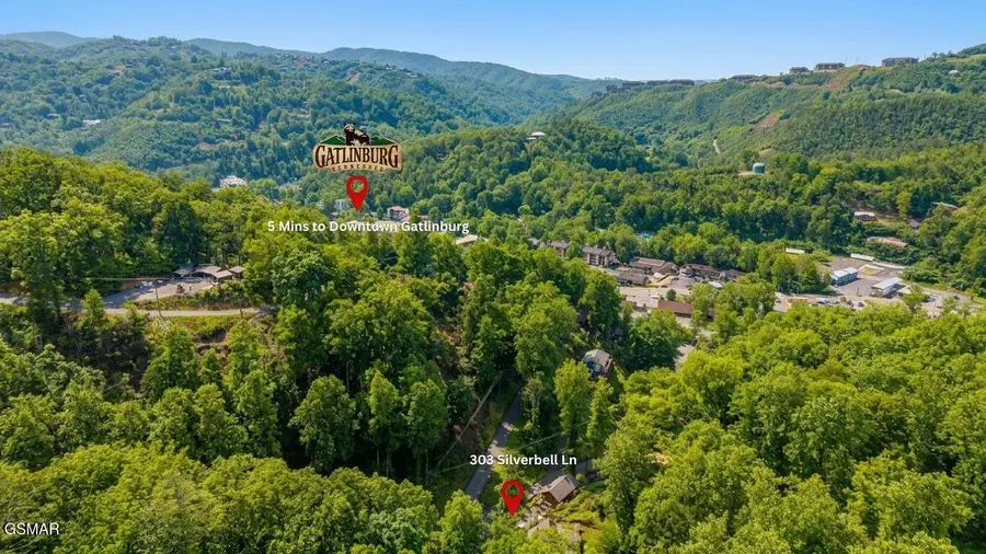 303 Silverbell Lane, Gatlinburg, TN 37738 - #2