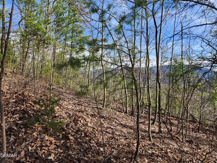 Lot 46 Feld Wynde Close Way, Sevierville, TN 37862 - #2