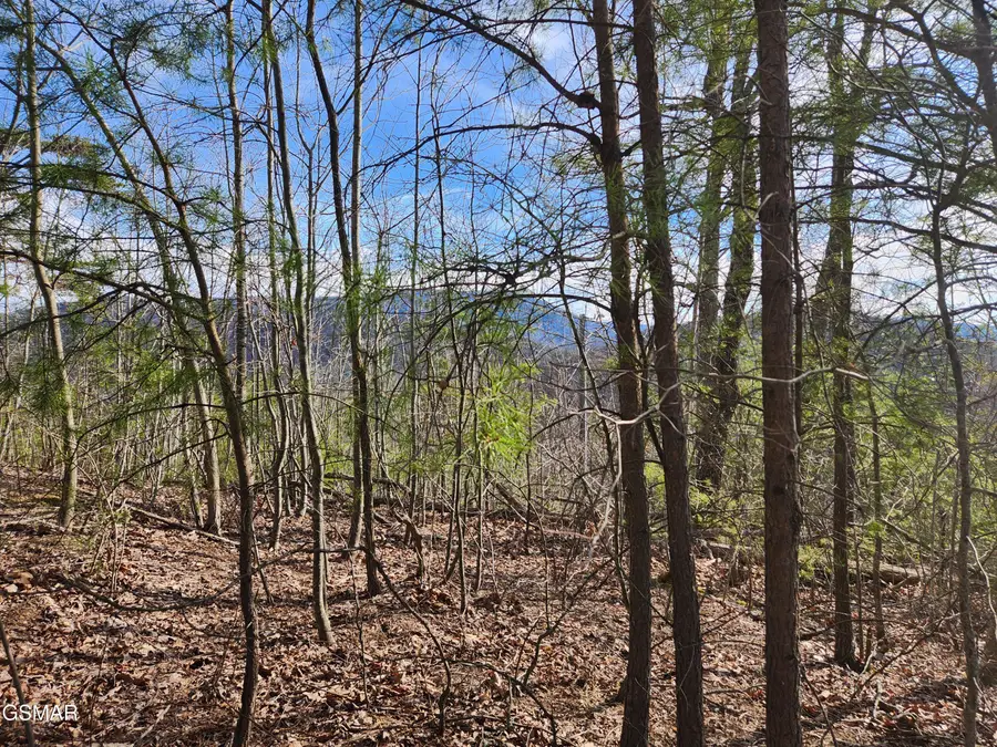 Lot 46 Feld Wynde Close Way, Sevierville, TN 37862 - #3