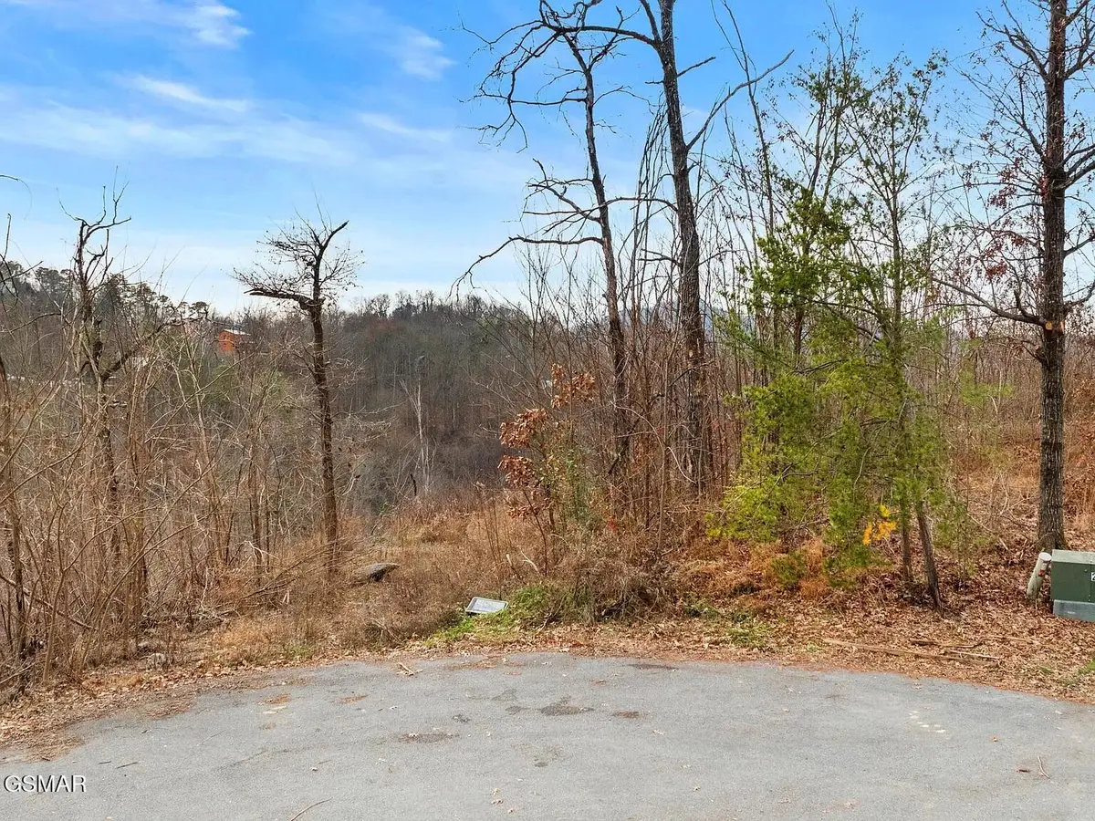 7R Lone Ridge Road, Sevierville, TN 37876 - #1