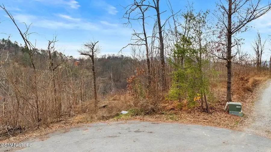 7R Lone Ridge Road, Sevierville, TN 37876 - #2