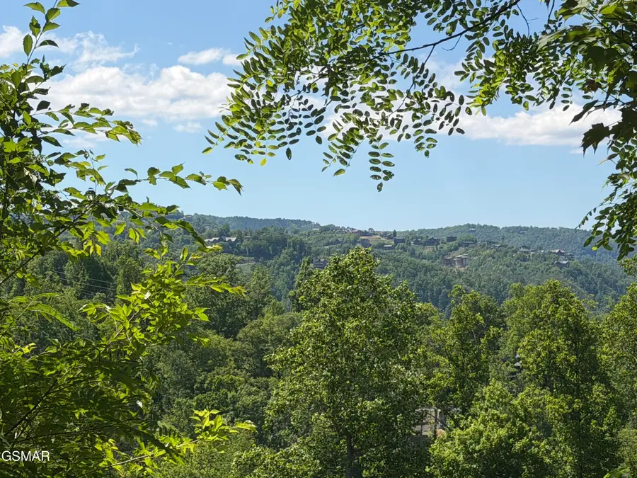 411 Abrams Falls Way, Gatlinburg, TN 37738 - #2
