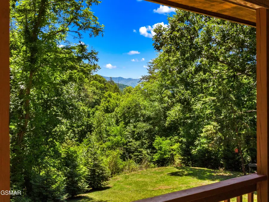 3009 Winding Way, Cosby, TN 37722 - #2