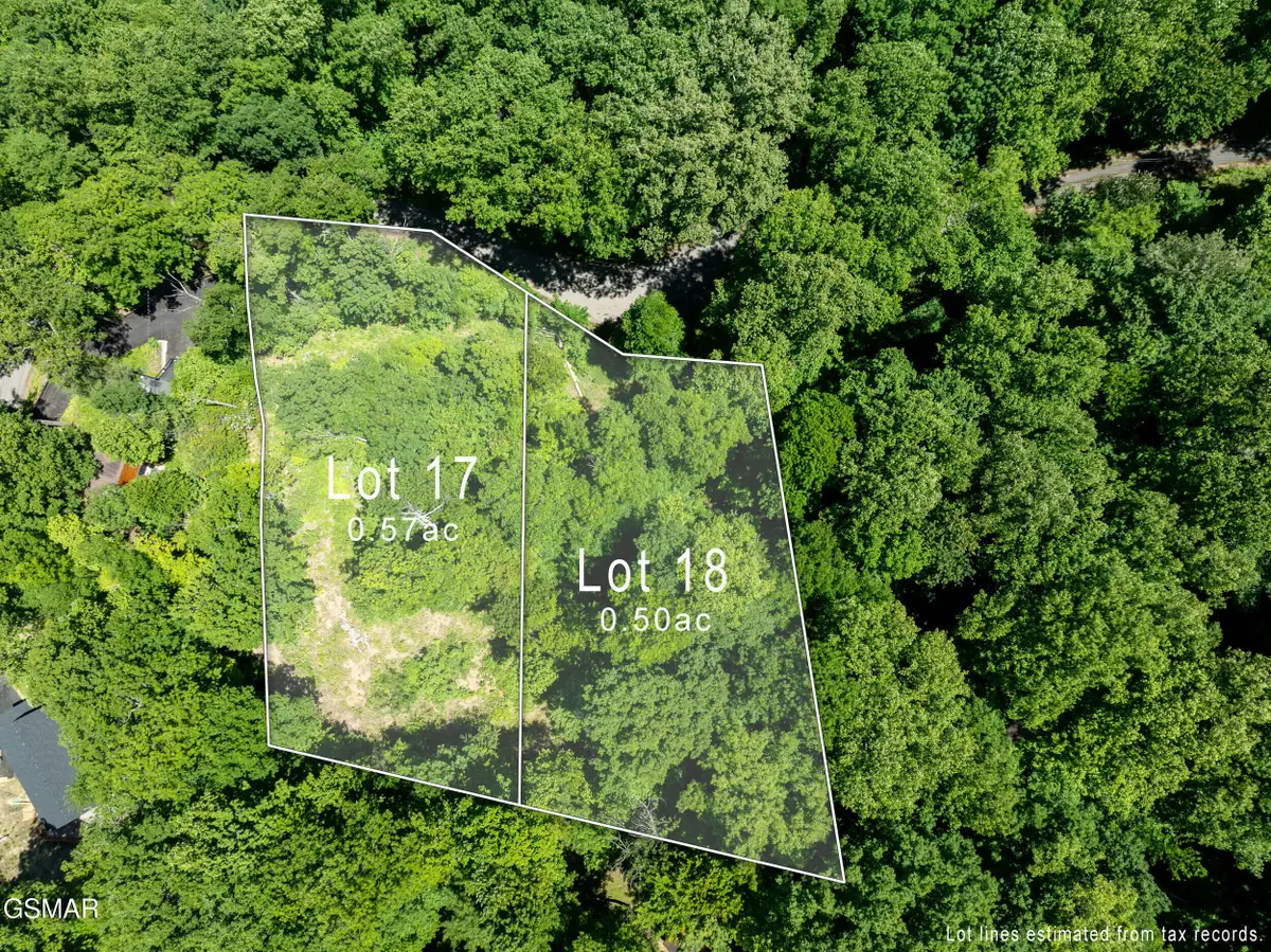 811 San Remo Drive, Gatlinburg, TN 37738 - #1