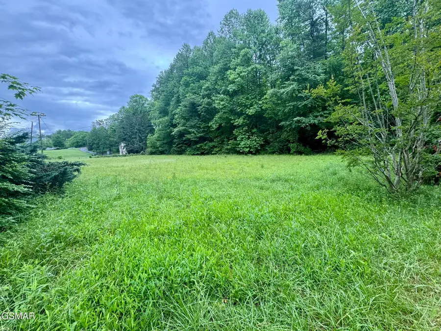 0000 Glades Road, Gatlinburg, TN 37738 - #2