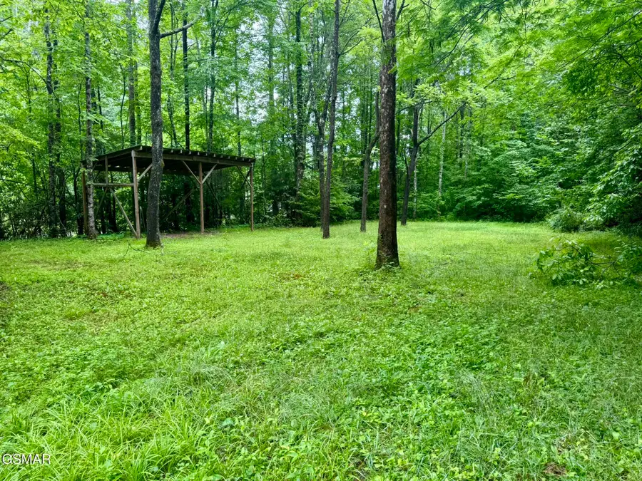 0000 Glades Road, Gatlinburg, TN 37738 - #3