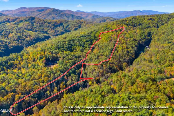 5.37 Acres Reece Hollow, Del Rio, TN 37727
