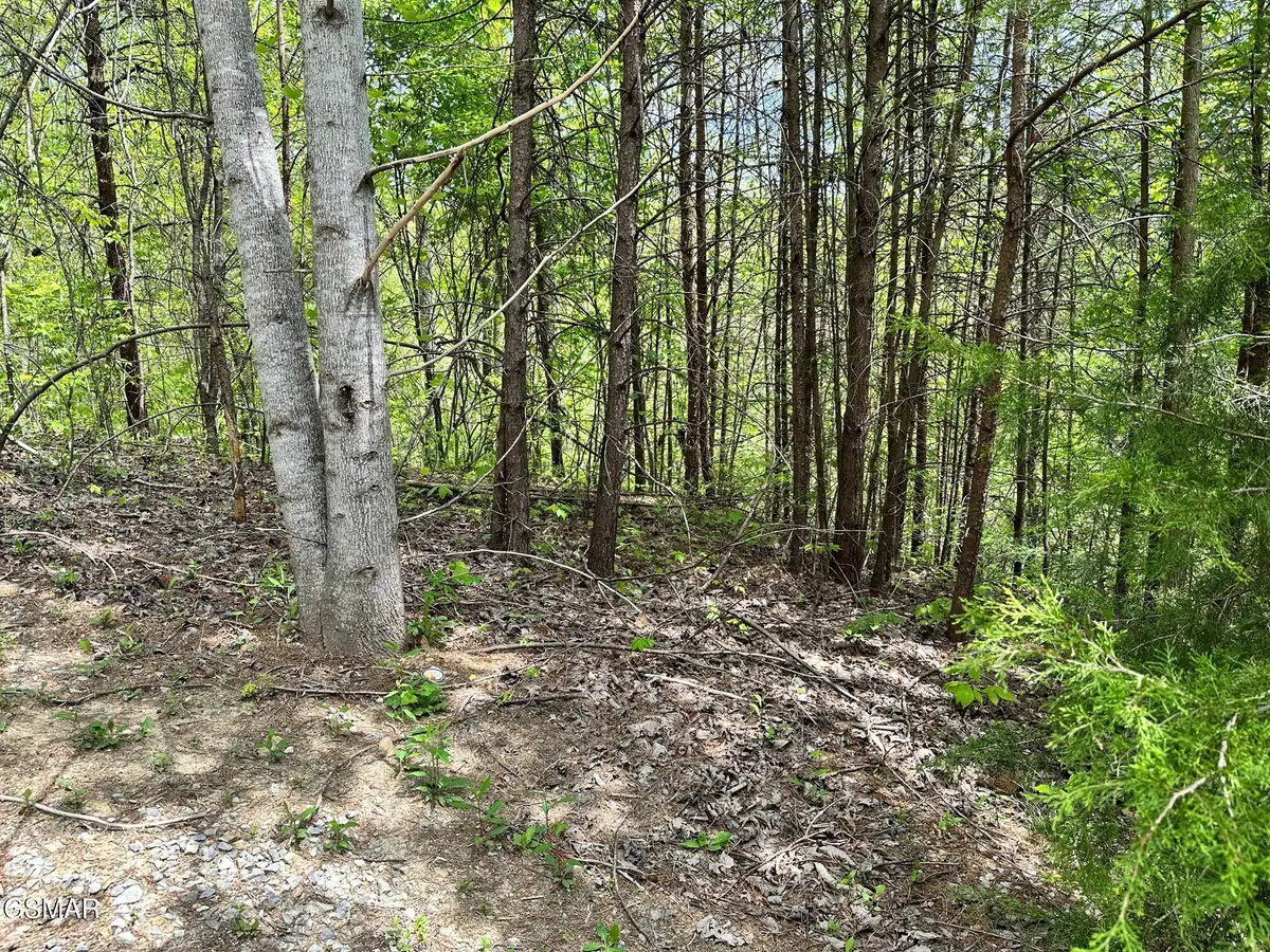 1430 Mountain Dreams Way, Sevierville, TN 37862 - #1